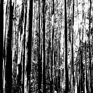 Photographie Collection A Linea #13 | 90x35 cm