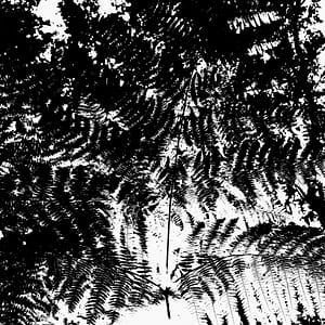 Photographie Collection A Linea #15 | 40x50 cm