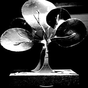 Photographie Collection A Linea #17 | 40x40 cm