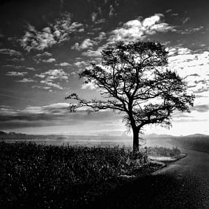 Photographie Collection A Linea #22 | 40x40 cm