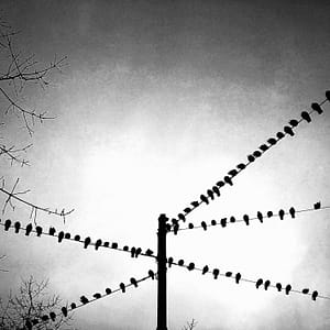 Photographie Collection A Linea #5 | 70x40 cm